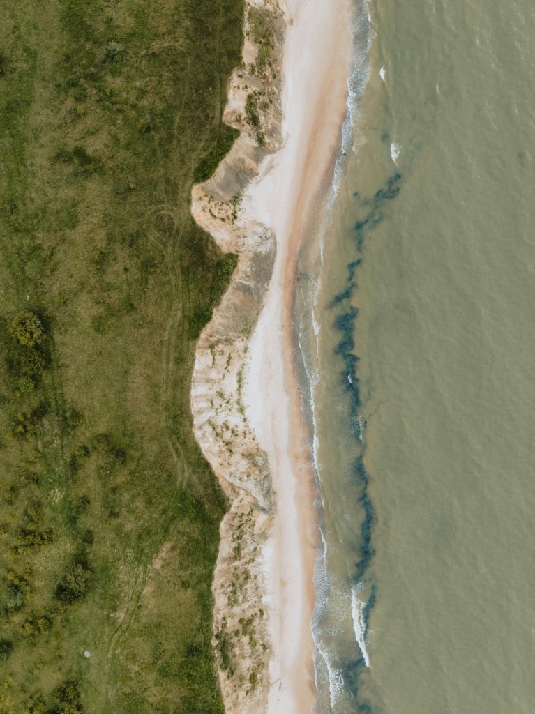 Overhead view of the ocean and a forest separated by a narrow beach.