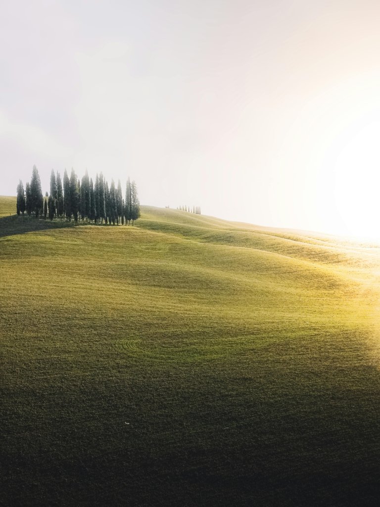 Beautiful hill with some trees on the left and the sun beaming over the right.